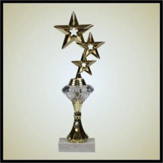 Riser Trophy