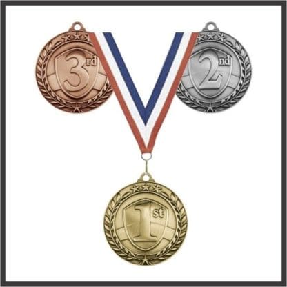 1st Place Medal (WAM) - 2"