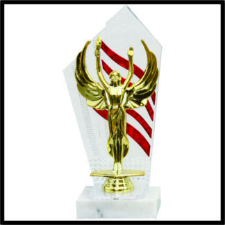 Wave Series Trophy